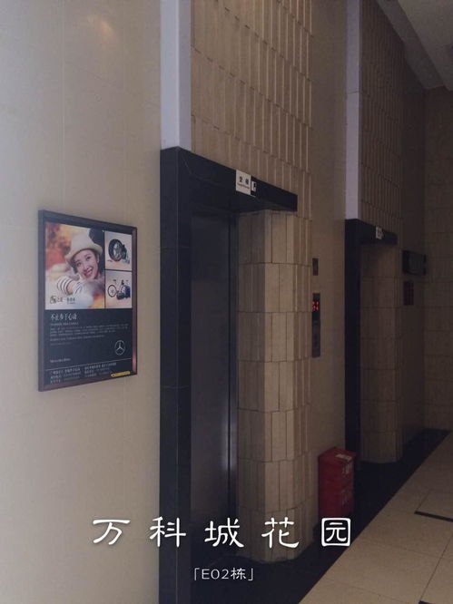 廣州樓宇電梯廣告公司專(zhuān)業(yè)服務(wù)與市場(chǎng)分析