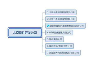 軟件開發外包公司有哪些